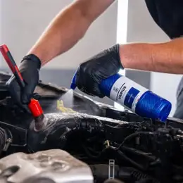 Motor Reinigen